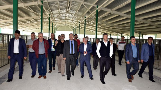 Hayvancılık sektöründen yeni pazara tam not (4)
