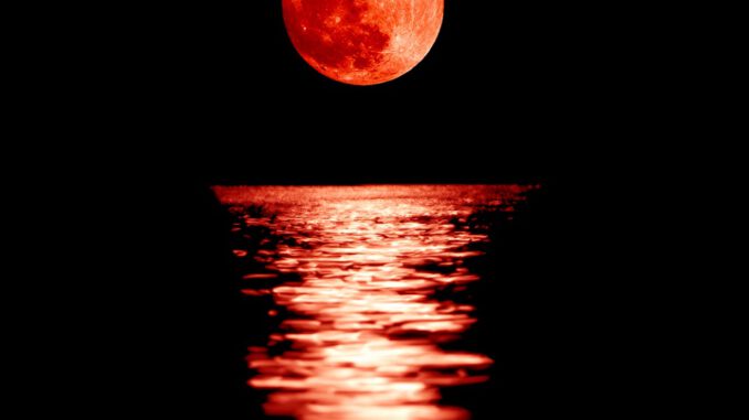 shutterstock_125707682