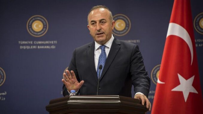 cavusoglu_avusturyali_mevkidasi_kneissl_ile_telefonda_gorustu_1513622985_4846