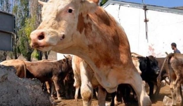 sarbon_spekulasyonlari_sonrasi_net_aciklama_1536574304_1097