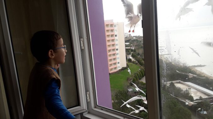Bursa'da Yüzleri Gülümseten Manzara! Her Sabah Camın Önüne Geliyorlar