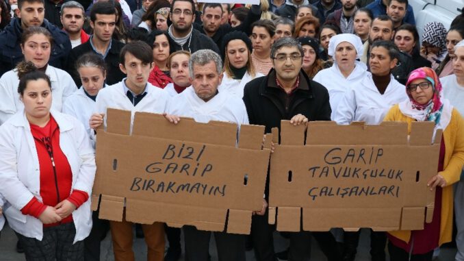 Garip Tavukçuluk Konkordato Talebinde Bulundu