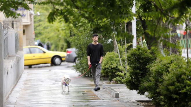 ran'ın başkenti Tahran'da köpek gezdirmek yasaklandı