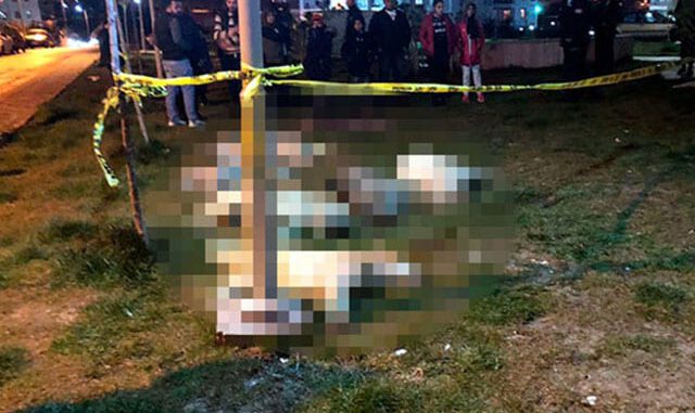 16 köpeğin zehirlenmesinde şüphelilerin serbest kalmasına itiraz reddedildi