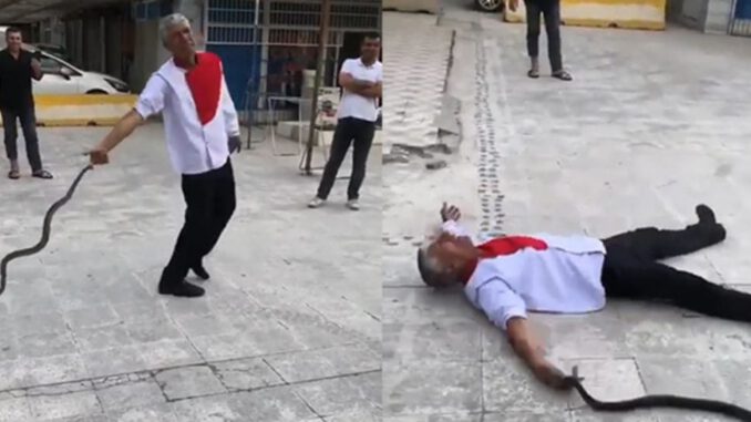 Alacaklarını tahsil edemeyince kendini yılana ısırttı