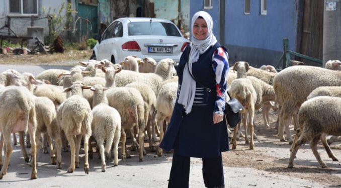 Almanya'dan Bursa'ya geldi, ağabeyini sollayarak seçimde ipi göğüsledi