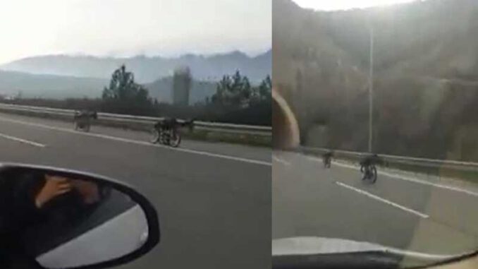 bursa-motor-yarış