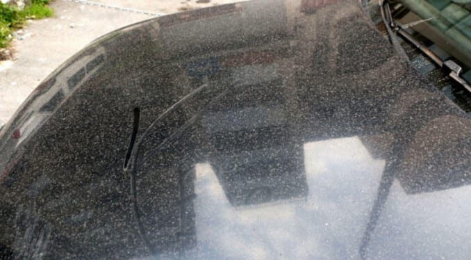 amur yağdı! Meteoroloji'den uyarı geldi...