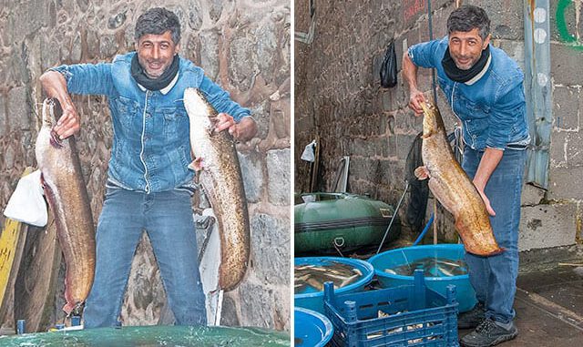 Gece attığı ağda, sabah 2 dev balık buldu