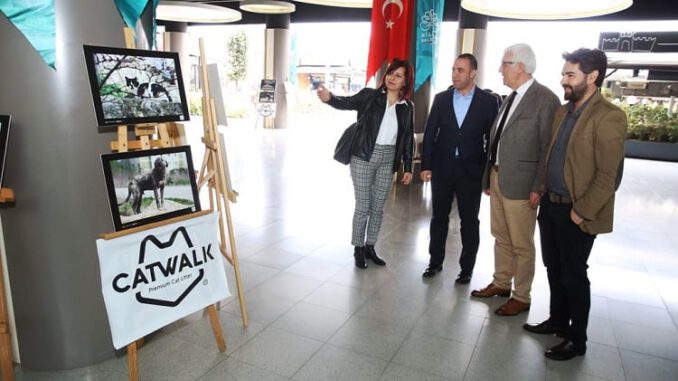 Nilüfer Belediyesi 4 Nisan'da Sokak Hayvanlarını Unutmadı