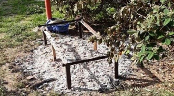 Parkta vahşet! Kediyi diri diri yaktılar