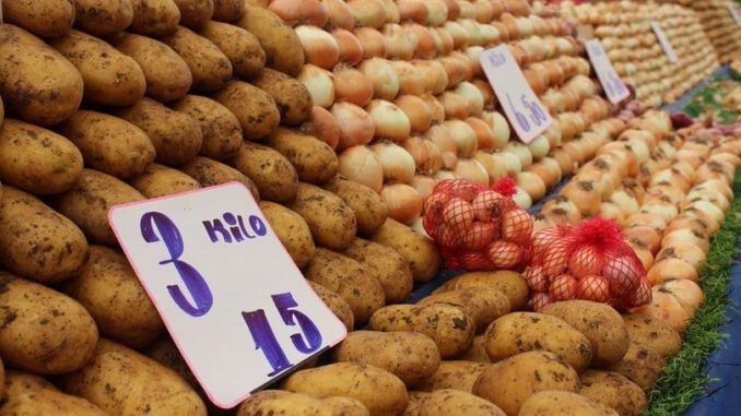 Patates ve soğan hasatı başlıyor, fiyatlarda düşüş bekleniyor
