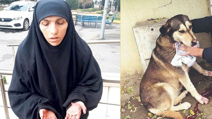 Sokak hayvanlarını kesip yiyen caniye suçüstü