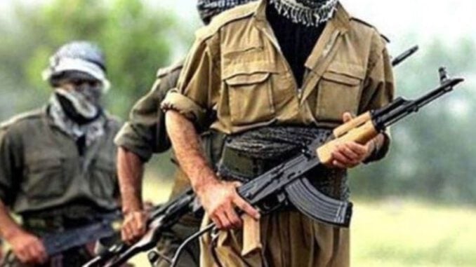 son-dakika-nazimiyede-catisma-1-pkkli-terorist-olduruldu-1533565222738