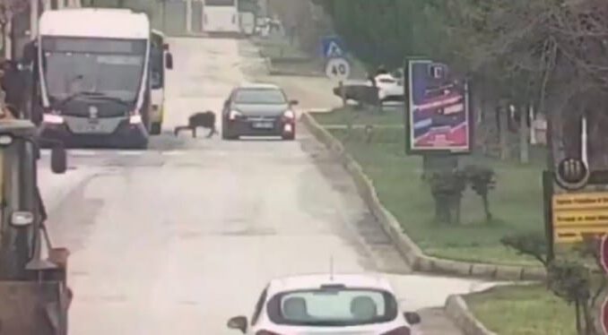 Trambüsten inen kıza otomobil çarptı!