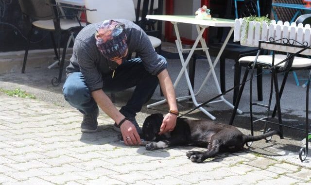 Yemek Sipariş Veren Müşterilerine Beraberinde Kuru Mama Gönderiyor