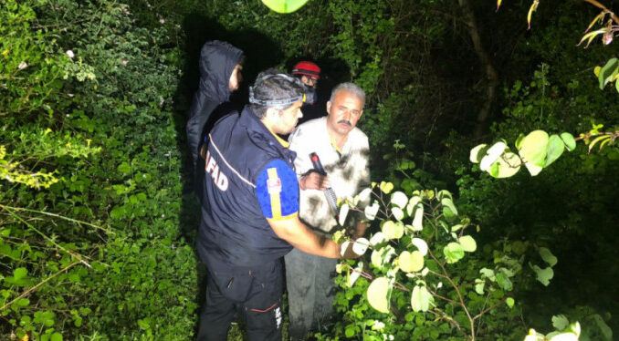 Bursa'da yaşlı adam ağaç kesmek için gittiği ormanda kayboldu