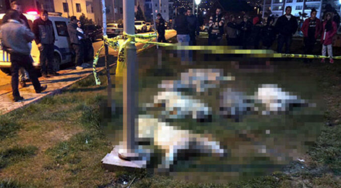 Köpek katliamında istenen cezalar belli oldu!