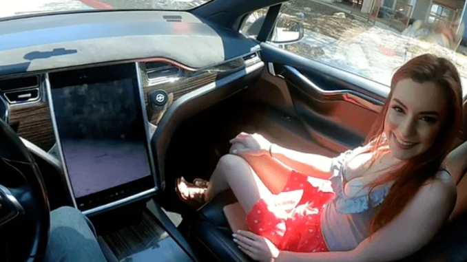 Tesla'yı otopilota alıp yolda yetişkin filmi çektiler