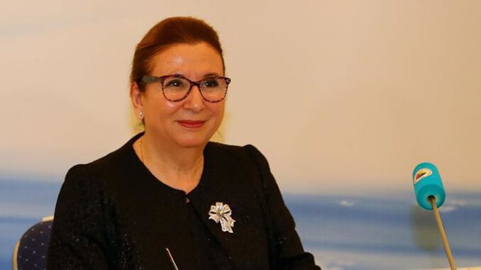 Tır kuyruklarını azaltacak takip sistemi duyuruldu