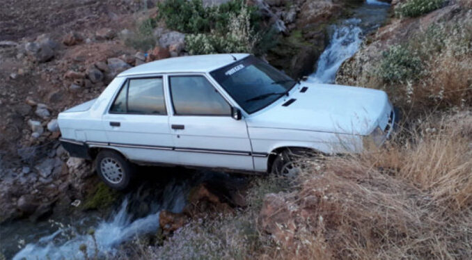 El freni çekilmeyen otomobil piknikçilerin arasına daldı 1 yaralı