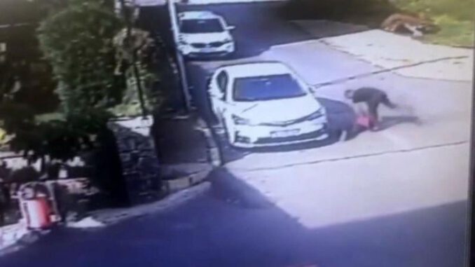 Erik çekirdeği dayağı zanlısı ilk duruşmada serbest bırakıldı