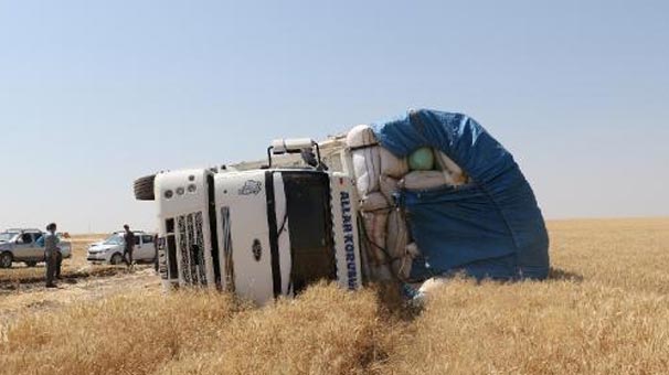 Saman yüklü kamyon devrildi 7 kişi yaralandı