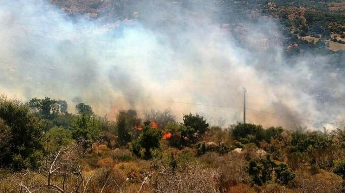 Bodrum'da yangın! Alevler yerleşim yerlerine yaklaştı