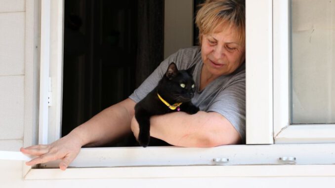 Mama kaplarını molozla doldurdular 'Hayvanlara su verdiğimde hakarete uğruyorum'
