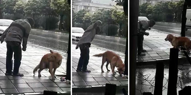 Bursa'da tepki çeken görüntü! Ağaca bağlı köpeğe yumruk attı