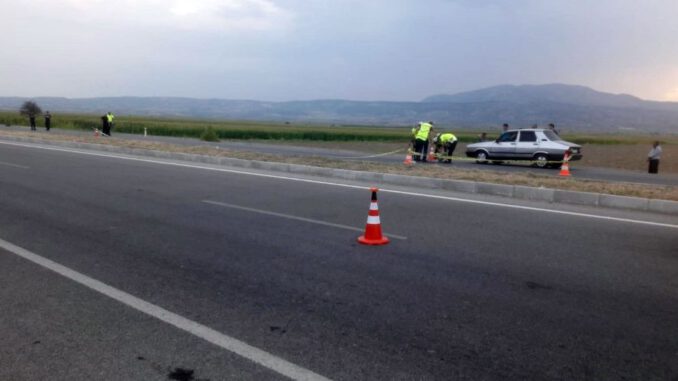 Kaplumbağayı kurtarmak isterken canından oldu