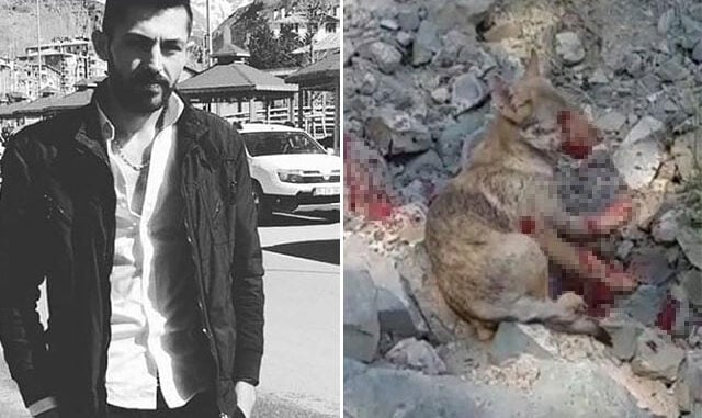 Kurt yavrusuna yaptığı işkenceyi paylaştı, cezayı yedi