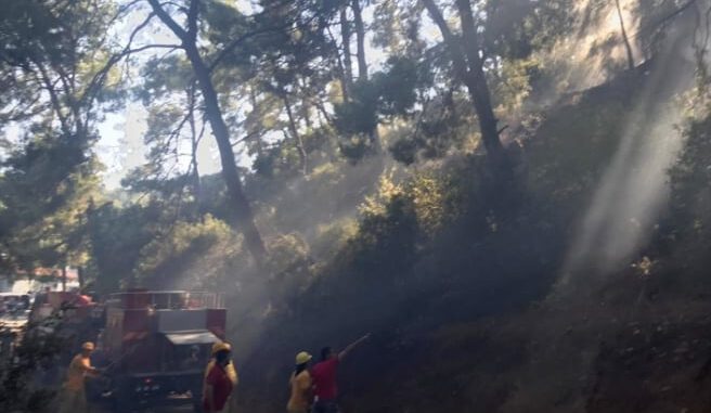Marmaris’te aynı yerde dört kez orman yangını çıkınca, sabotaj şüphesi güç kazandı