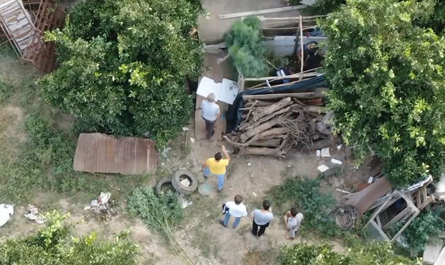 Meyve bahçesine ekilen uyuşturucu 'drone' ile tespit edildi