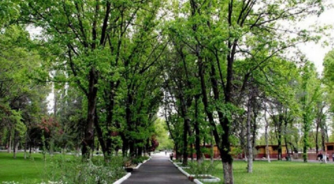 TOKİ, Atatürk Orman Çiftiliği taşınmazlarını satıyor!