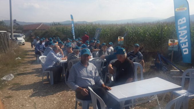 Bursa Mustafakemalpaşa'da Tarla Günü
