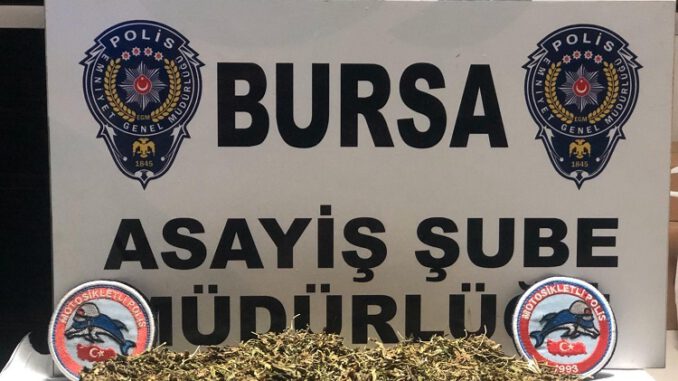 Bursa'da Turşu Bidonuna Koyduğu Esrarı Satmak Üzereyken Yakalandı