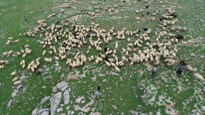 Genç Çiftçi Projesi'nde çifte usulsüzlük