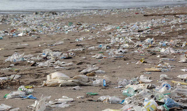 'Plastik kullanmak mayınlı tarlada gezmeye benziyor'