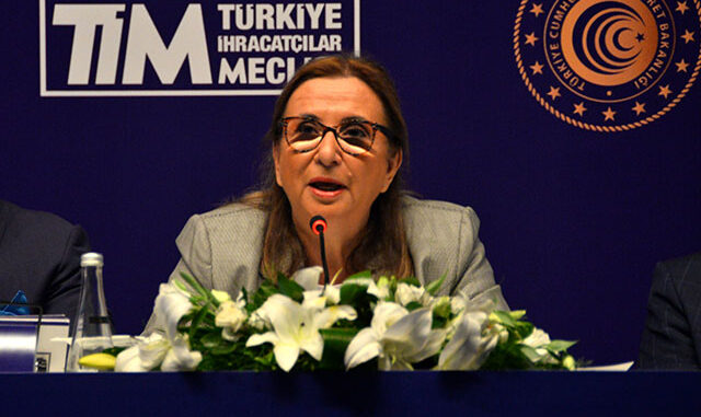 Bakan Pekcan Türkiye dengeleme sürecine girdi