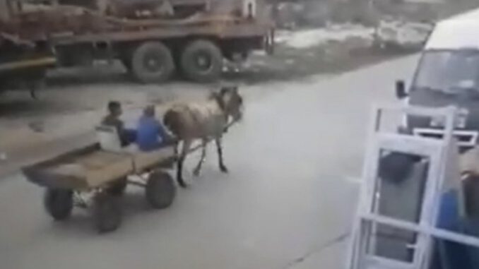 Bursa'da at arabasıyla hırsızlık güvenlik kamerasında