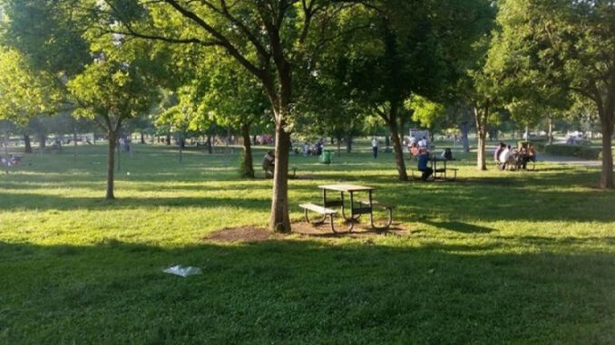 Bursa'da hırsızlar piknik alanlarına dadandı