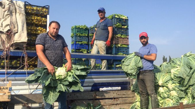 Bursa'da Üretici Kış Sezonunu Zararla Kapatabilir