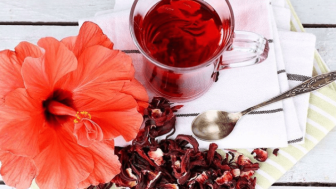 Hibiskus Nedir Faydaları Neler Hibiskus Çayı Nasıl Demlenir