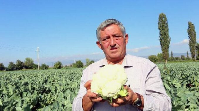 karnabaharin-fiyati-sofraya-gelinceye-kadar-katlanarak-artiyor-3973-dhaphoto3-5da1b2f45c41c