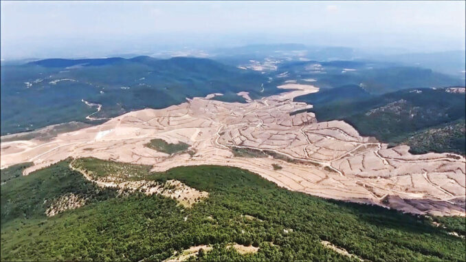 Kazdağları'ndaki katliam durdu!