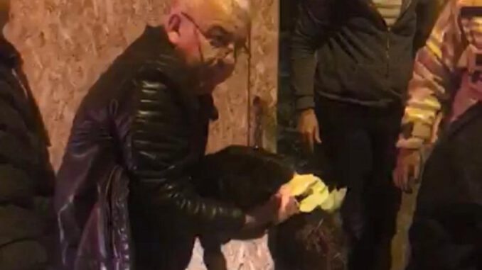 Bursa'da Yaralı Sokak Köpeğini İtfaiye Kurtardı