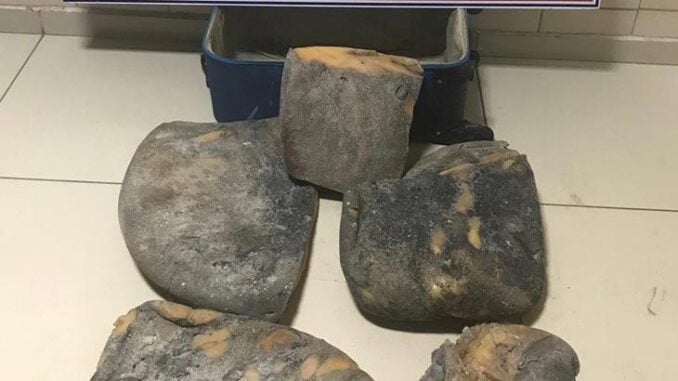 2 Milyon 570 Bin 427 Lira Değerinde Ambergris (Balina Kusmuğu) Ele Geçirildi