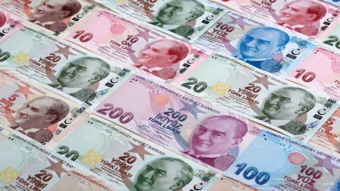 'Bankaları Rahatlatmak' İçin Kurulacak Olan Şirkete Hazine de Ortak Oluyor