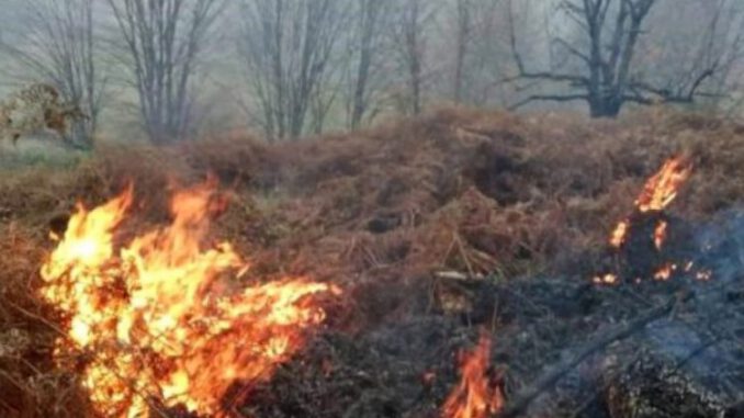 Örtü Yangınlarına Neden Olan 5 Kişi Hakkında Suç Duyurusu